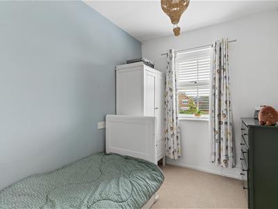 Picture 16